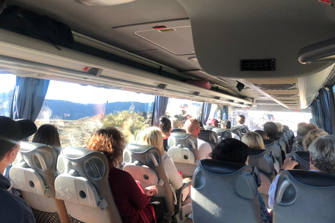 Tenerife: Excursión de un día al Teide, Masca, Icod y GarachicoTour con salida desde la zona sur