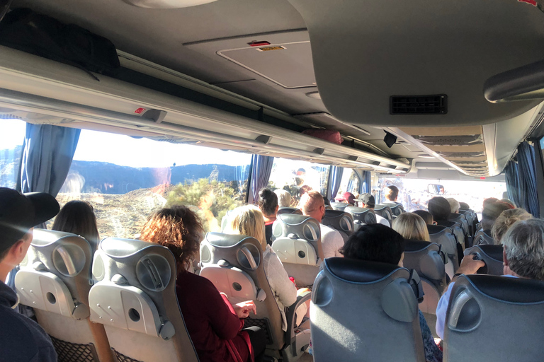 Tenerife: Excursión de un día al Teide, Masca, Icod y GarachicoTour con salida desde la zona sur