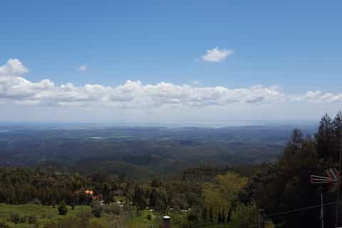 Portimão: Guided Algarve Wine Tour with Lunch
