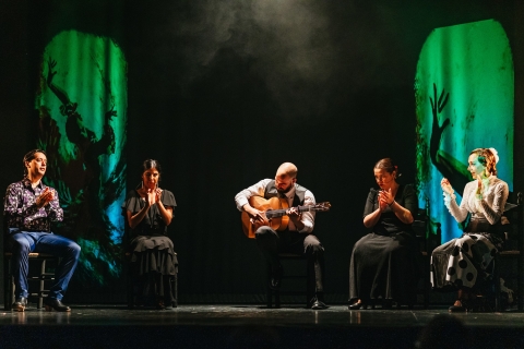 Madrid : spectacle de flamenco "Emociones" en directOption standard