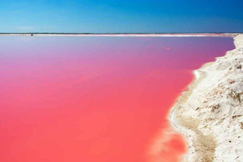 Cartagena: Tur till Totumo-vulkanen och Rosa havet