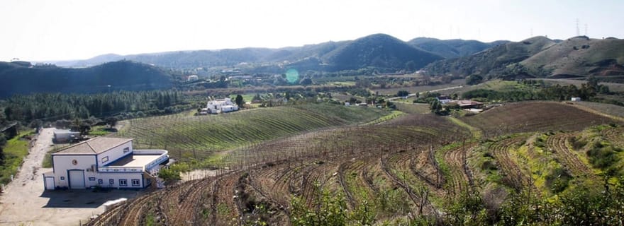 Visite des vignobles de l'Algarve et excursion en montagne avec déjeuner ou dîner
