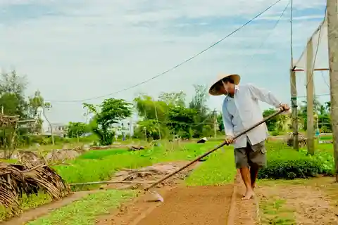 Hoian/Da Nang: Fishing, basket riding and cooking class