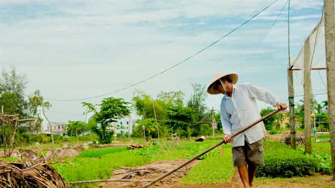 hoi an cooking class with farm trip and herbal massage