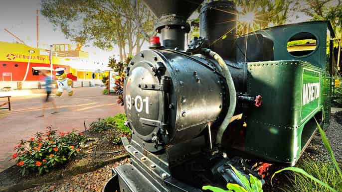 sunshine coast rainforest views and montville day tour