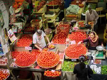 Port Louis & Northern Mauritius Full Day Guided Tour