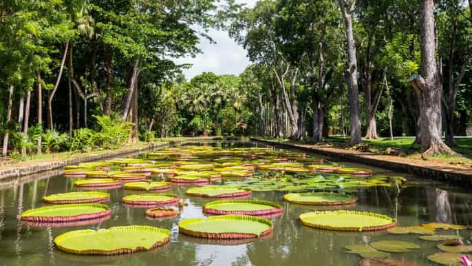 port louis northern mauritius full day guided tour