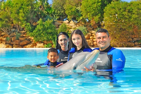 Algarve: experiencia Dolphin Emotions en ZoomarineEncuentro Dolphin Emotions (6 años o más)