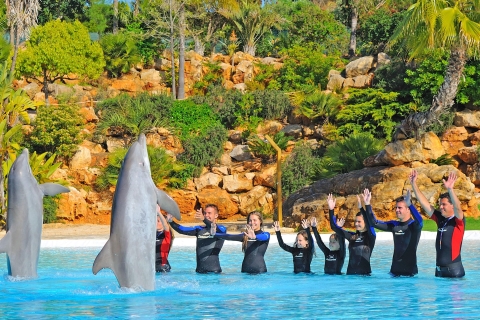 Bilet do Zoomarine Algarve i niezwykłe atrakcje z delfinamiDolphin Emotions Encounter Ages (powyżej 6. roku życia)