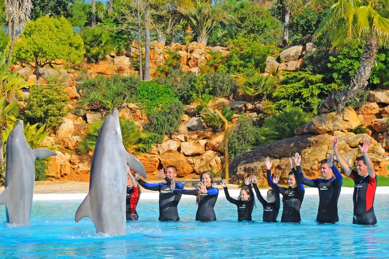 Bilet do Zoomarine Algarve i niezwykłe atrakcje z delfinamiDolphin Emotions Encounter Ages (powyżej 6. roku życia)