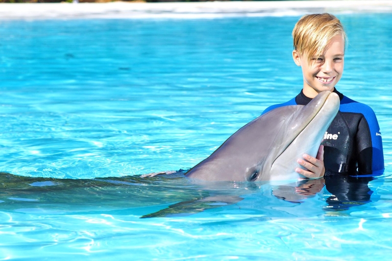 Zoomarine Algarve: Ticket und Delfin-ErlebnisDolphin Emotions Exklusiv - Privat für 2 Pers. (ab 8 Jahren)