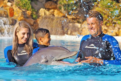 Algarve Zoomarine Ticket and Dolphin Emotions Experience