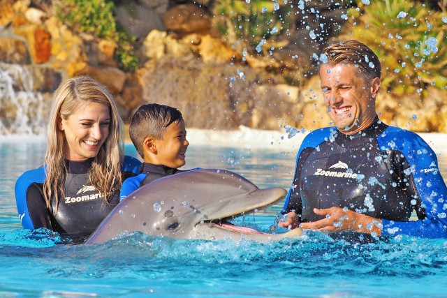 Visit Algarve Zoomarine Ticket and Dolphin Emotions Experience in Almancil, Algarve, Portugal