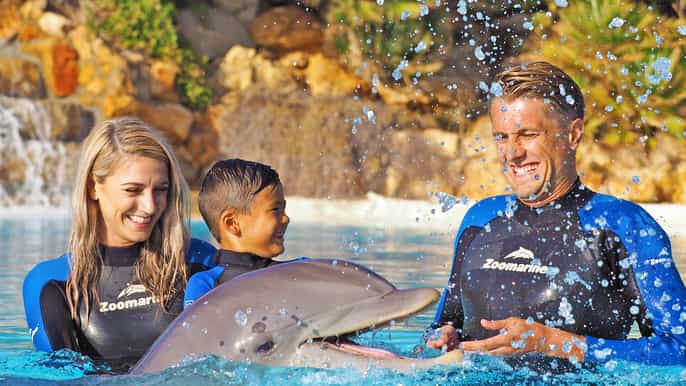 algarve zoomarine ticket and dolphin emotions experience