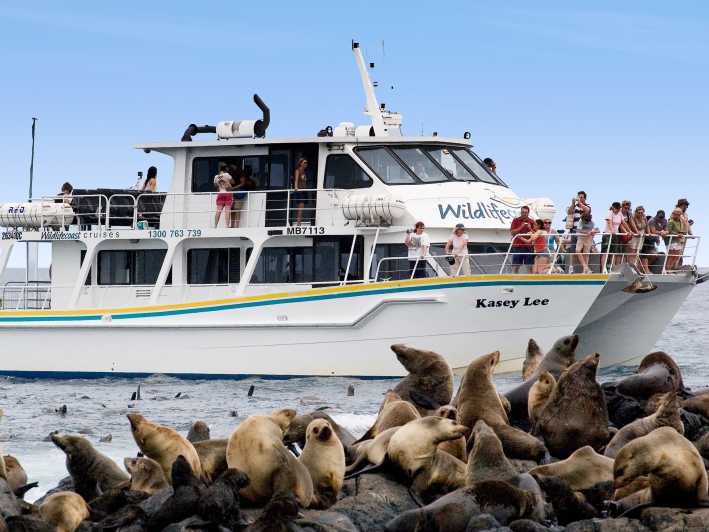 Isola di Philip: Crociera per l'osservazione delle foche