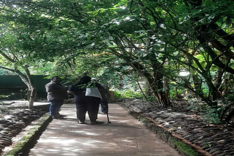 From Colombo Wetland Birdwatching Shore Excursion by Car
