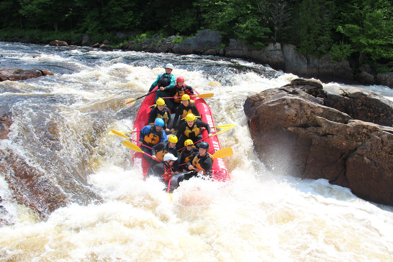 Rafting w Quebecu: półdniowa wycieczka pełna wrażeń!Quebec: Półdniowa wycieczka i moc wrażeń podczas spływu raftingowego!