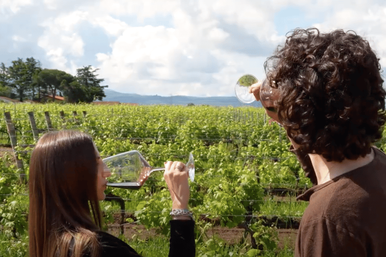 From Siena: Pisa, San Gimignano & Chianti Wine Tasting Tour Spanish - Pisa, San Gimignano & Chianti Wine Tasting Tour