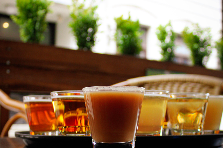 Riga: 14 Beers Tasting Experience - Aussie Backpackers Bar