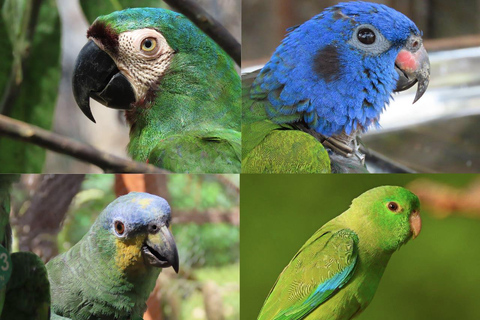 Villanueva: Fundación Loros Sunset Tour with Winetasting