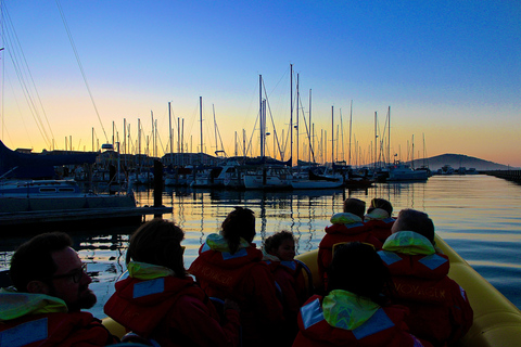 San Francisco Bay: Adventure Boat Tour Public Adventure Boat Tour