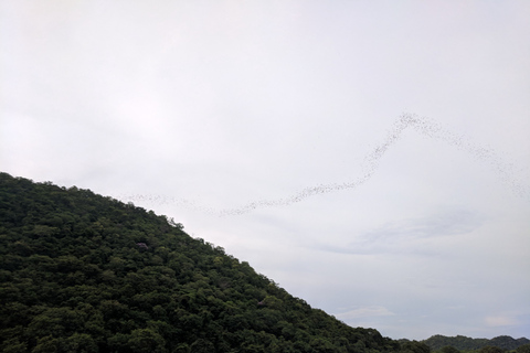 Parque Nacional Khao Yai: tour privado de 2 días desde BangkokTour privado con alojamiento estándar