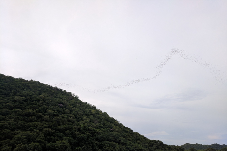 Parque Nacional Khao Yai: tour privado de 2 días desde BangkokTour privado con alojamiento estándar