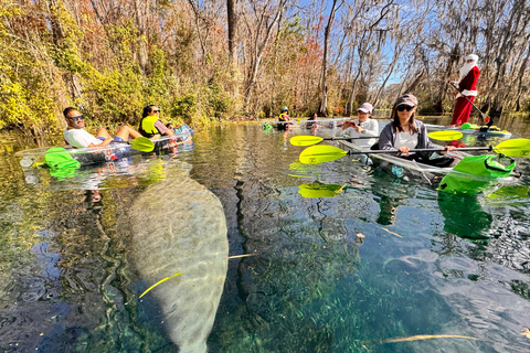 Silver Springs: Clear Kayak Manatee and Wildlife Tour Silver Springs: Clear Kayak Manatee &Wildlife Tour