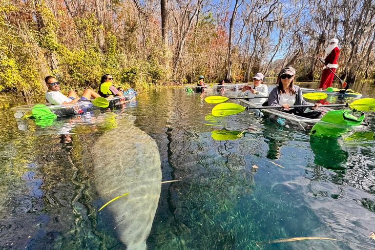 Silver Springs: Clear Kayak Manatee and Wildlife Tour Silver Springs: Clear Kayak Manatee &Wildlife Tour