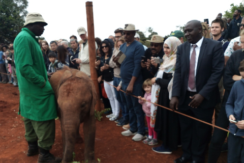 Nairobi: Privat rundtur på elefantbarnhemTur till David Sheldrick Wildlife Trusts barnhem