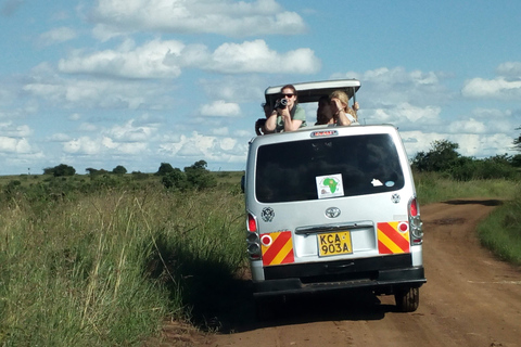 Excursión de un día al Parque Nacional de Nairobi, elefantes, jirafas y Bomas