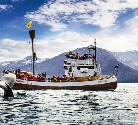 Passeios de barco