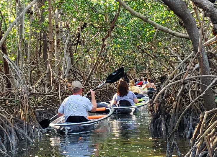 Clear Kayak Guided Tour Through Shell Key Nature Preserve