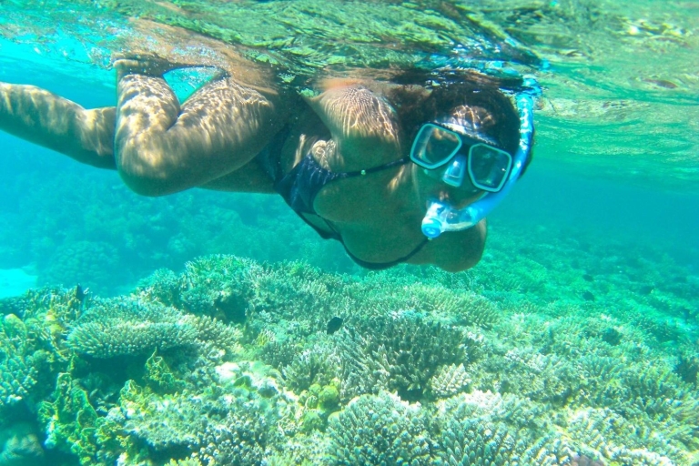 Marsa Alam : croisière, snorkeling, tortues et déjeuner