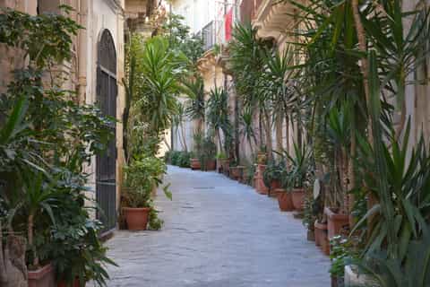Syracuse: Ortigia and Neapolis Guided Walking Tour