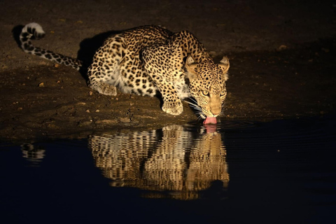 Tanzania: tour di 7 giorni della fauna selvatica e della romantica isola di Zanzibar