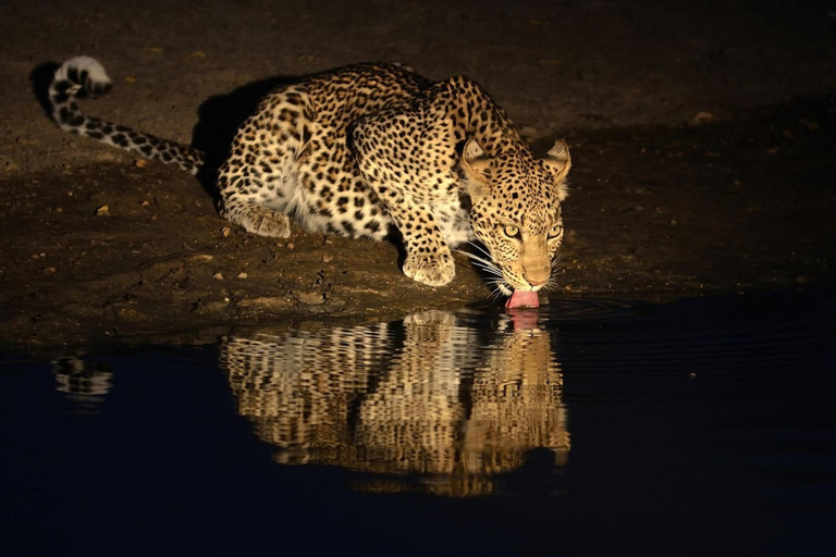 Tanzania: tour di 7 giorni della fauna selvatica e della romantica isola di Zanzibar