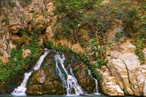 Fethiye Small-Group Tour: Tlos, Saklıkent Gorge, Gizlikent