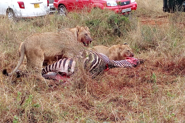 Excursion d'une journée complète au Conservatoire Ol Pejeta au départ de Nairobi