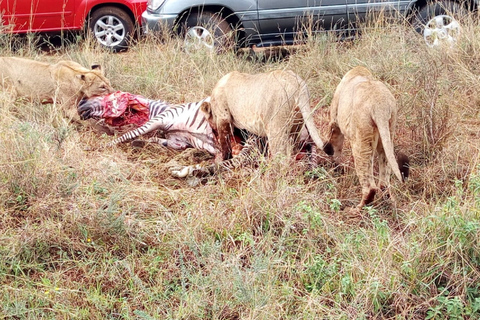 Ol Pejeta Conservancy heldagstur från Nairobi