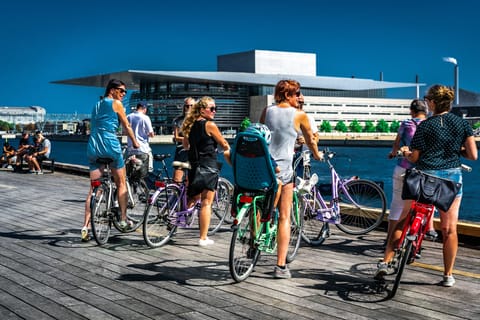 Copenhagen: Complete City by Bike Tour