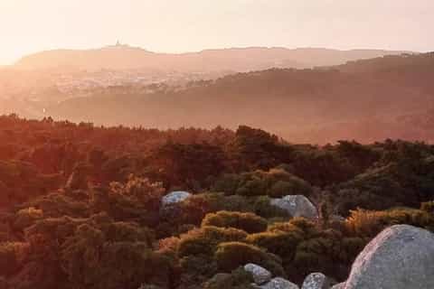 Private Evening Walk: Sintra Mountains Inbetween Wolves