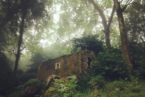 Sintra Guided Visit: Life and Death at the Capuchos Convent