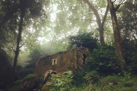 Sintra Guided Visit: Life and Death at the Capuchos Convent