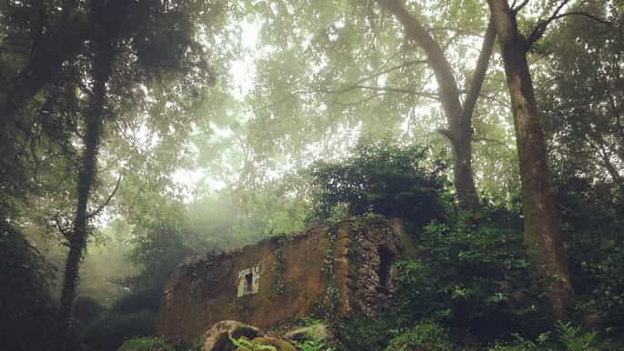 visita guiada a sintra vida e morte no convento dos capuchos