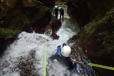 Bled: 3-Hour Exclusive Lake Bled Canyoning Adventure