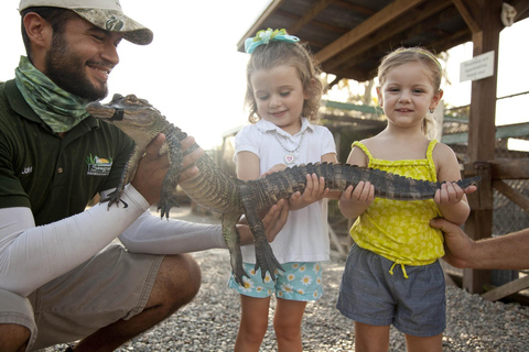 Miami Combo: Everglades Adventure and Sightseeing Tour Combo - Downtown Miami pickup
