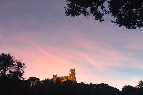 Private Sintra Night Walk: "Dreams in the Woods"