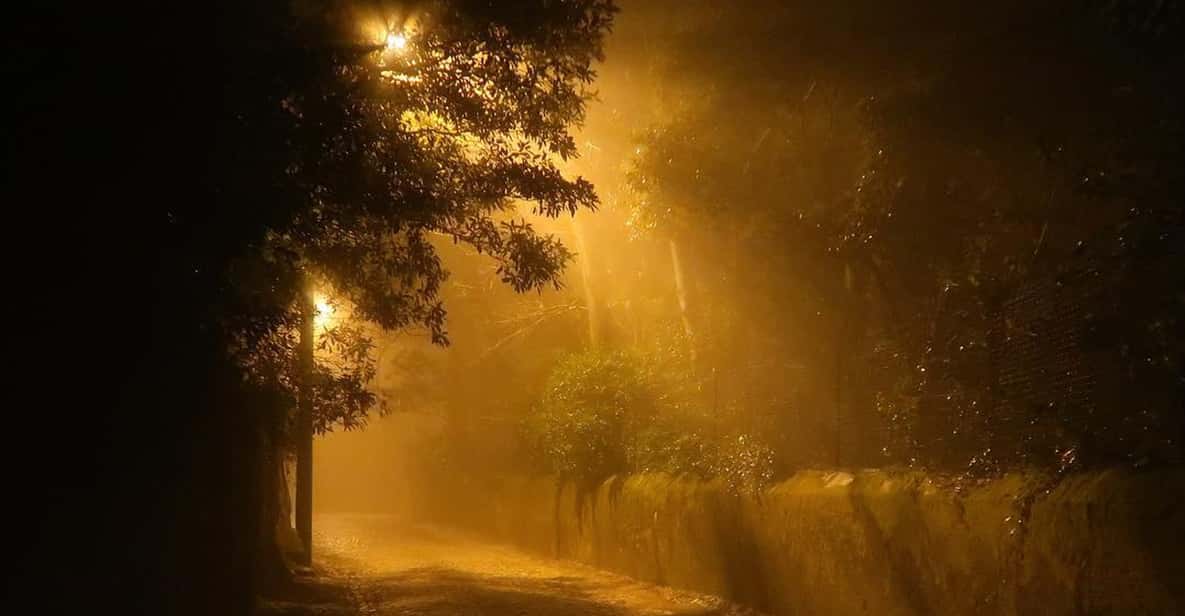 Private Sintra Night Walk: "Dreams in the Woods"