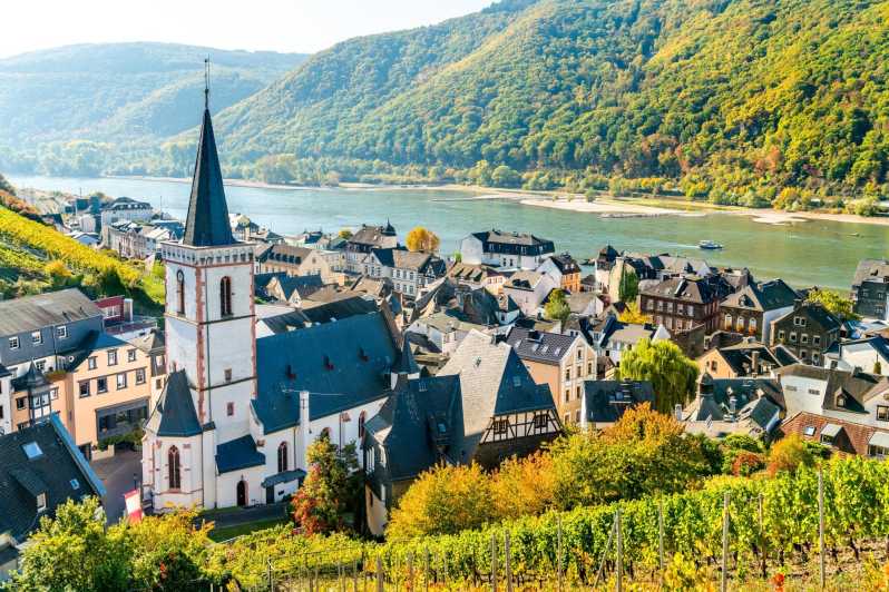 Долина Рейна: тур на полдня из Франкфурта